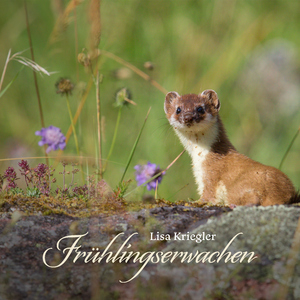 我爱和女人上床日B
